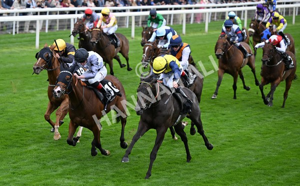 200825-011 Trefor - Race 1 1.50pm Hong Kong Jockey Club World Pool Handicap