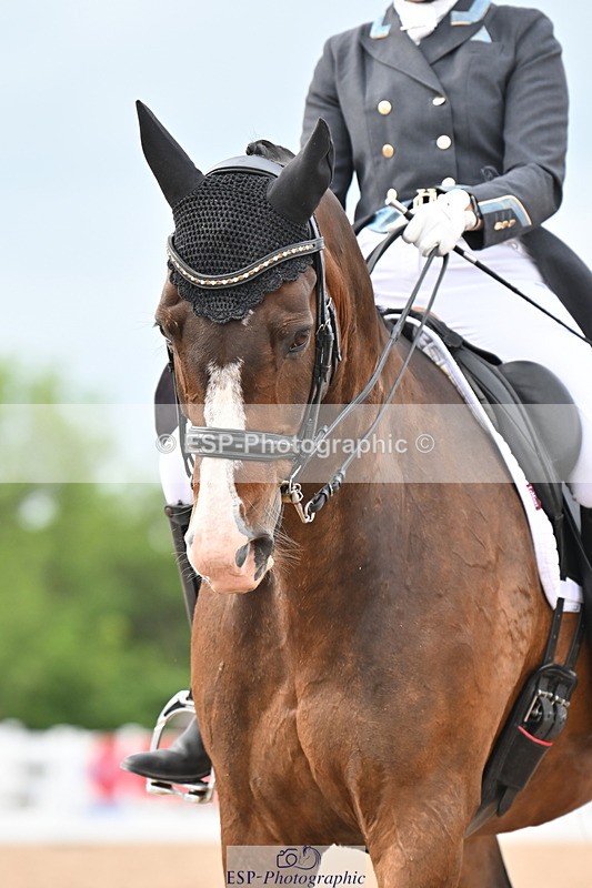 240621A-183450-06280 - Cls 17 BD FEI PSG