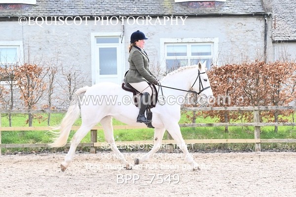 BPP_7549 - RING 1  (RIDDEN HORSES / IN HAND / VETERAN ETC)