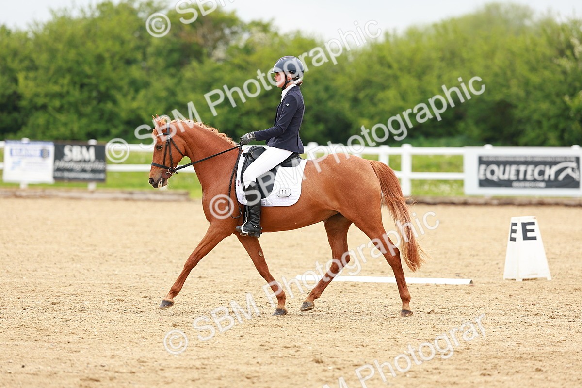 SBM_005210 - Class 16 - Novice 6