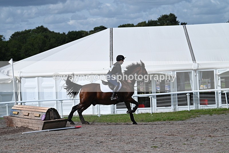 WJ7_1966 - Time 13:17 to 13:53