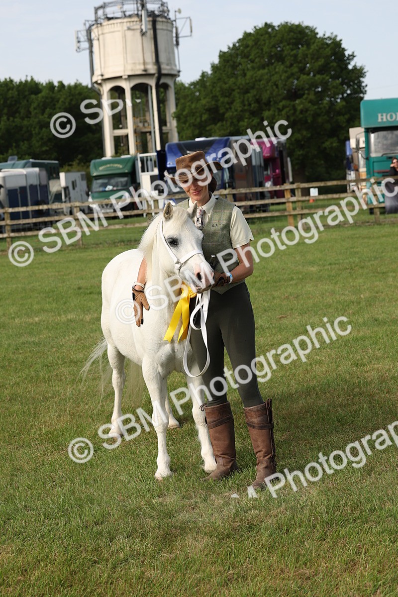 SBM_00593 - Class 6-13 - Mountatin and Moorland In Hand Welsh Breeds