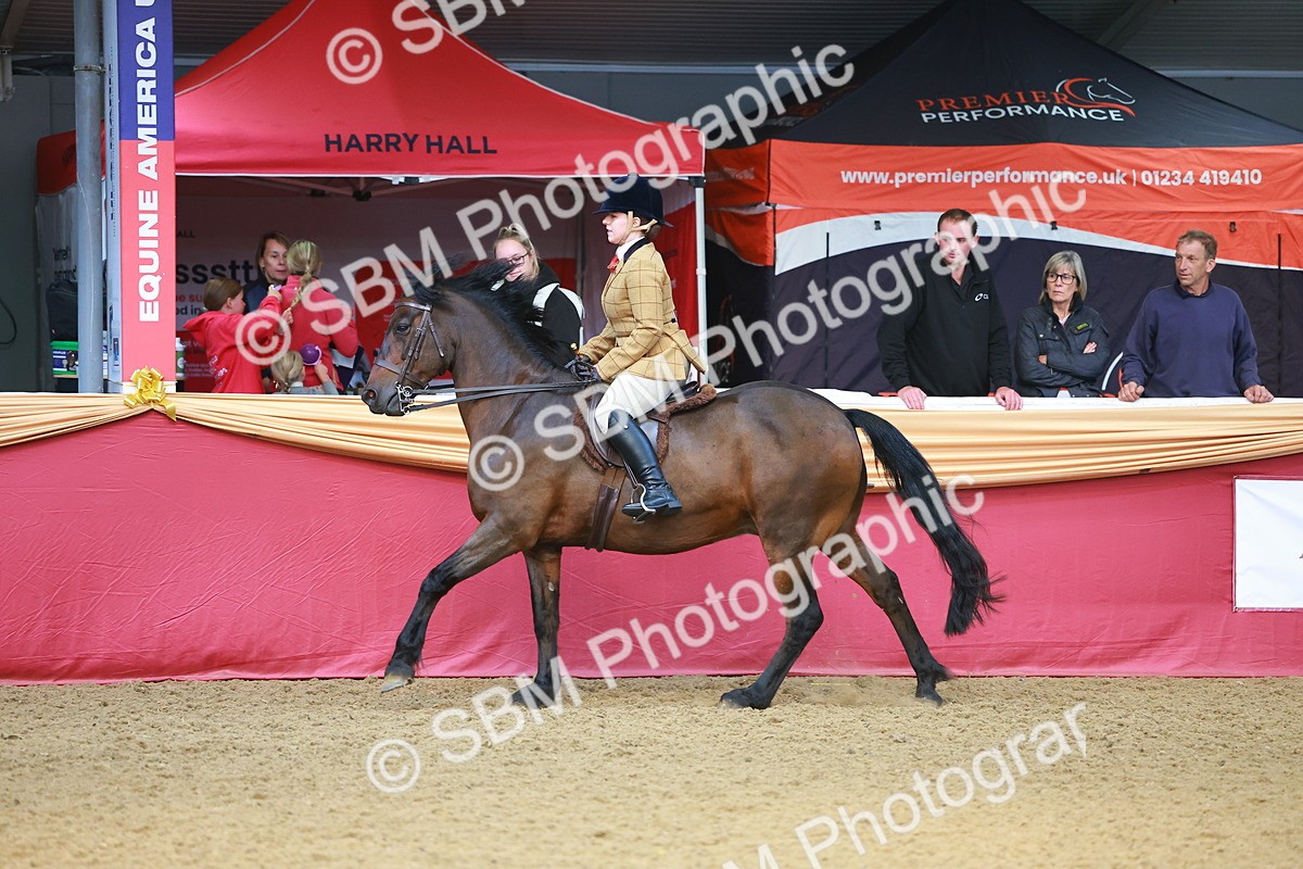 SBM_09717 - Class 102 - HOYS Veteran Qualifier - Ridden Veteran