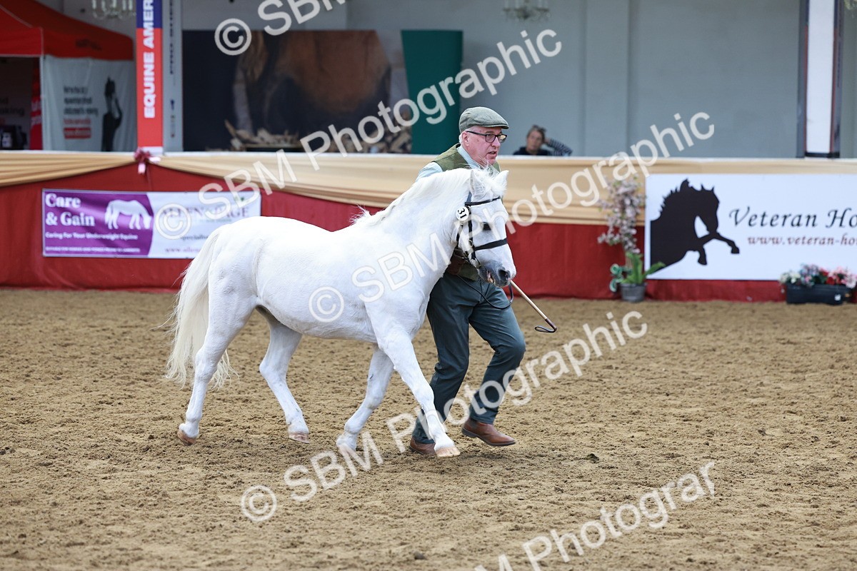 SBM_17381 - Class 951 - M&M IH Supreme Final