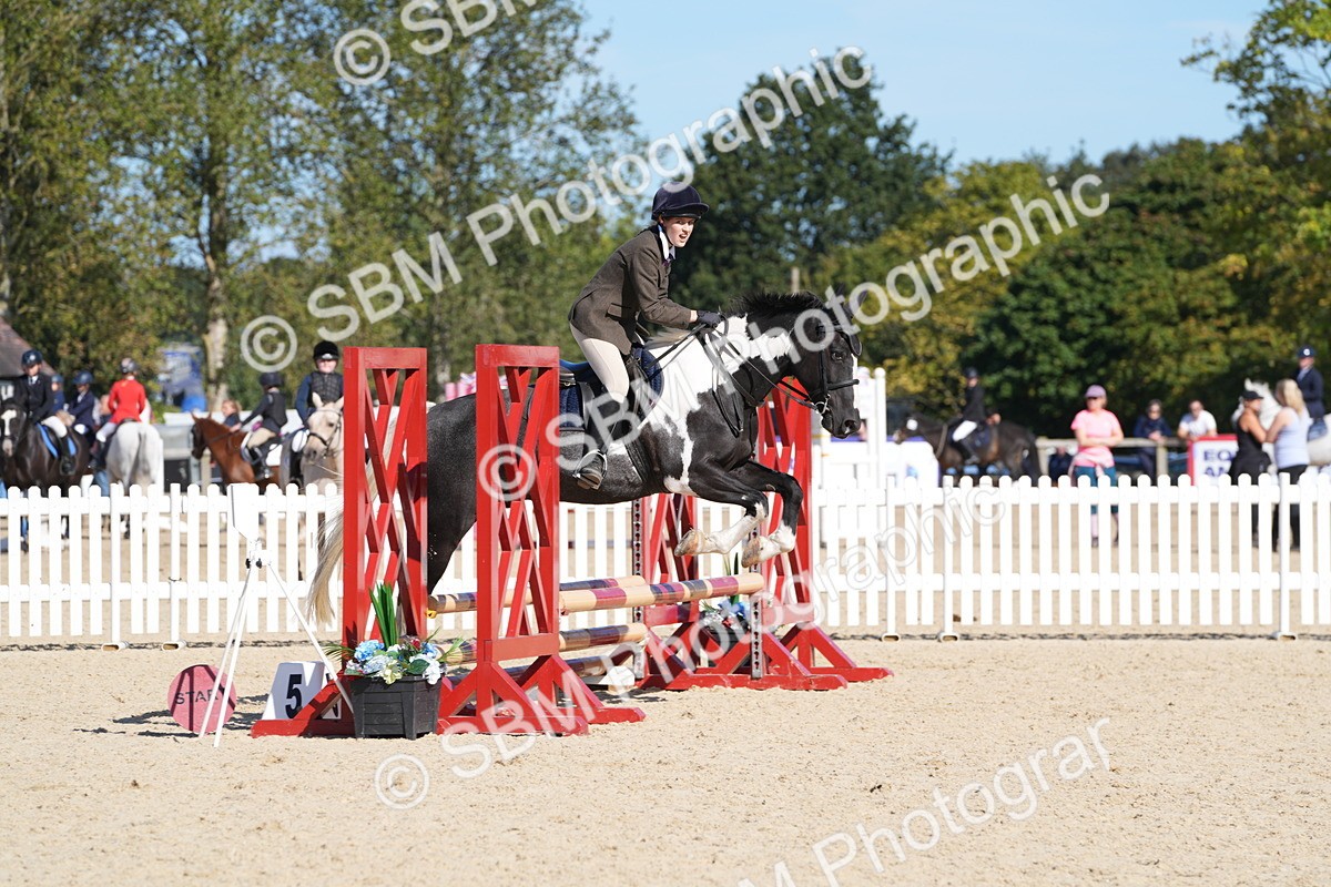 SBM_38682 - J21 - Junior Horse 60cm Championship