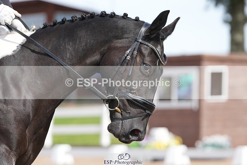 250906-135128-03777 - 020-Leo.De-ValentinoBarfields.Cosmopolitan