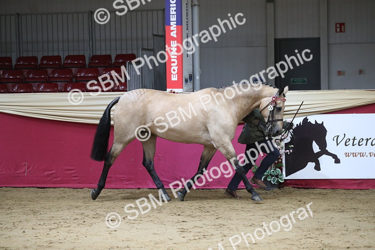 SBM_05011 - Class 8R- Regional -IH Veteran