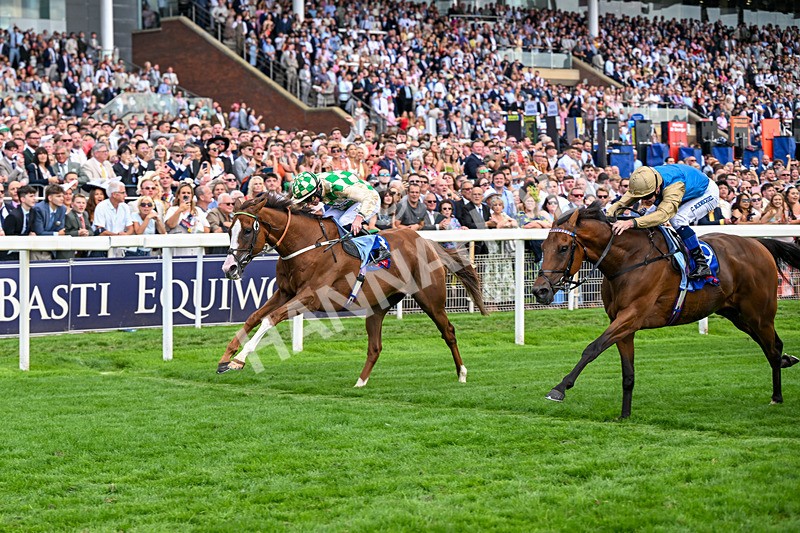 220826-Race 4-Daiquiri Bay-0445 - Race 4 15.35pm Sky Bet Ebor Handicap