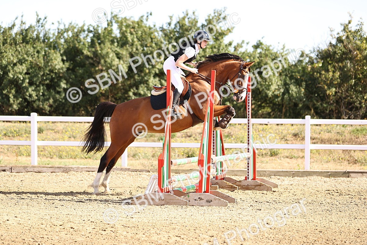 SBM_000019 - Class 1 - Clear Round