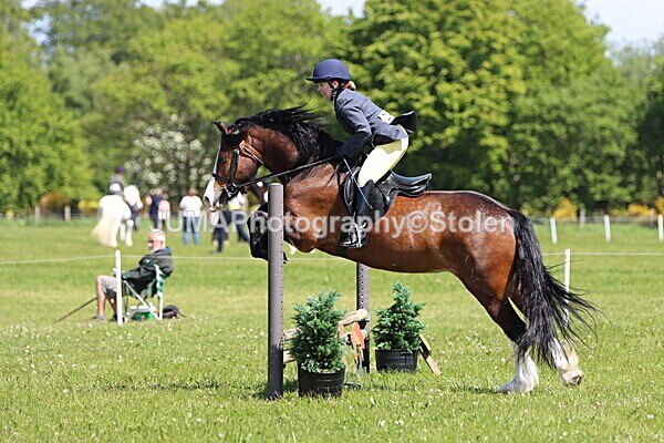 IMG_3485 - Working Hunter