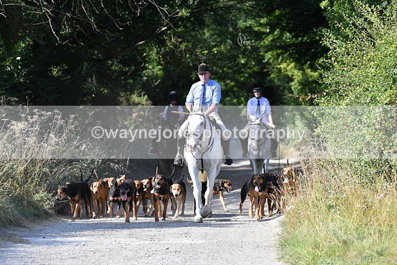 WJ5_4777 - Walk out with the hounds