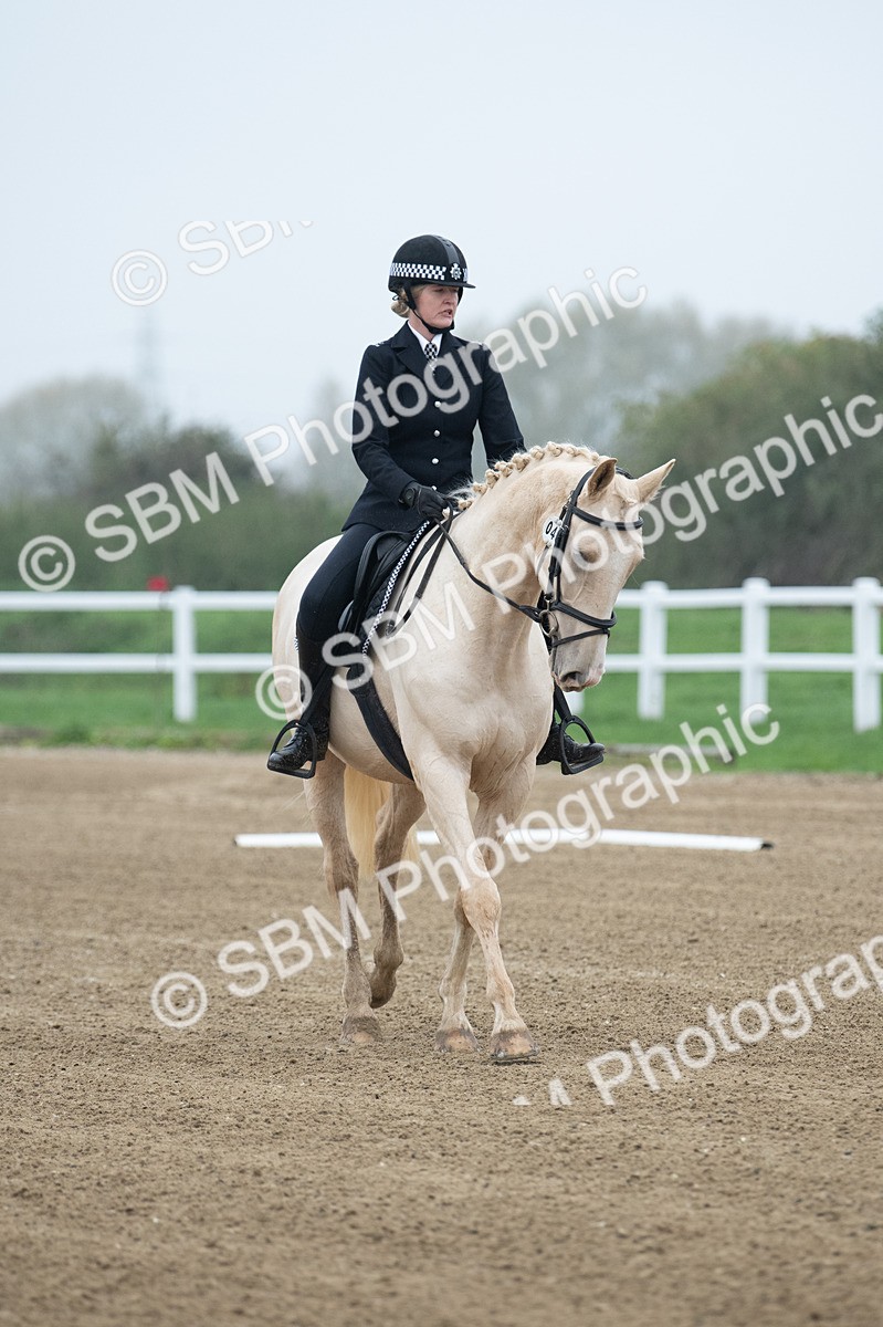 SBM_003334 - Introductory Test 3