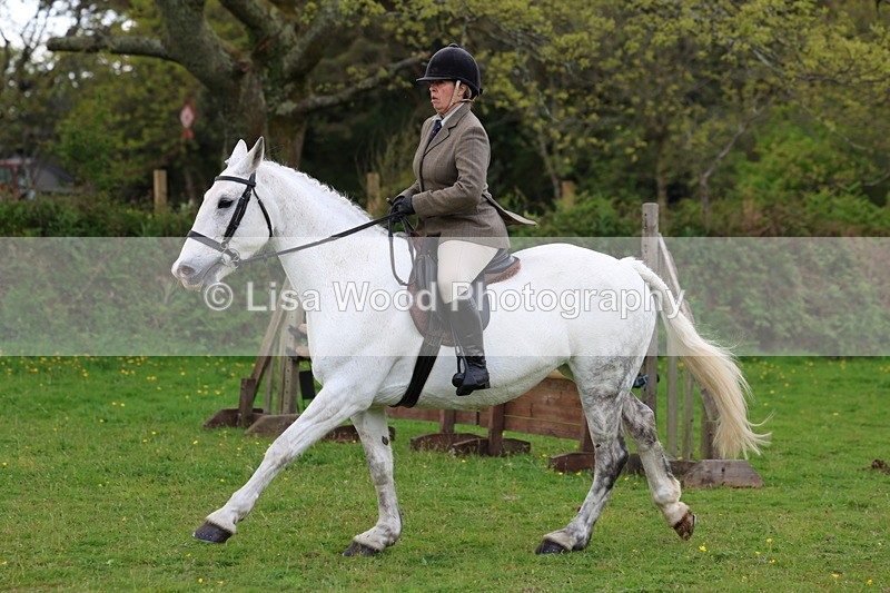 3E7A2593 - Classes 30 and 31: 80cm Working Hunter