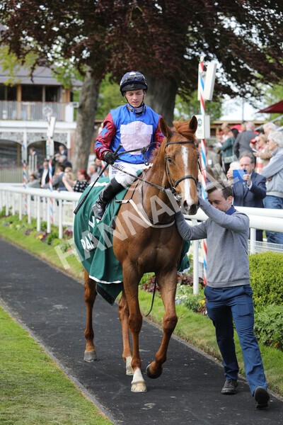 yr12052022r3-35 - Race 3 3.00pm The Paddy Power Hambleton Stakes