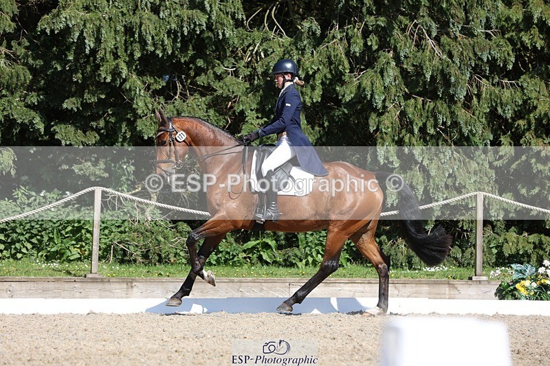 230526-162623-07819 - 171-SLANEYSIDE_COOLEY-Lara_Chapple-WEDTrotUp+DR