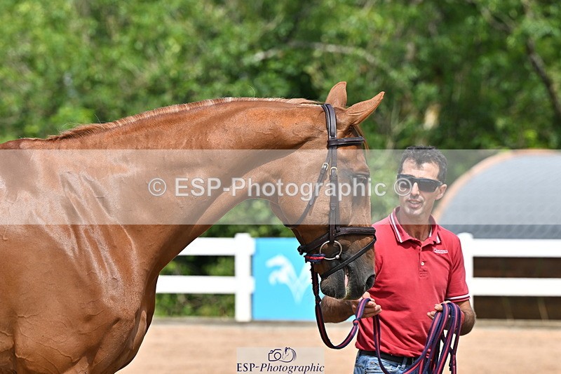 240718A-105259-01403 - Trot Up 12pm to 1pm