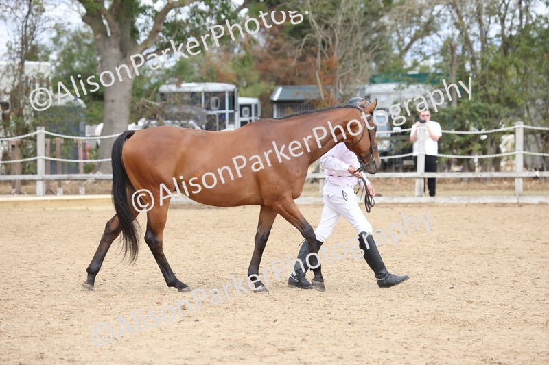 20260831-1895 - Class 5 - Retraining of Racehorses