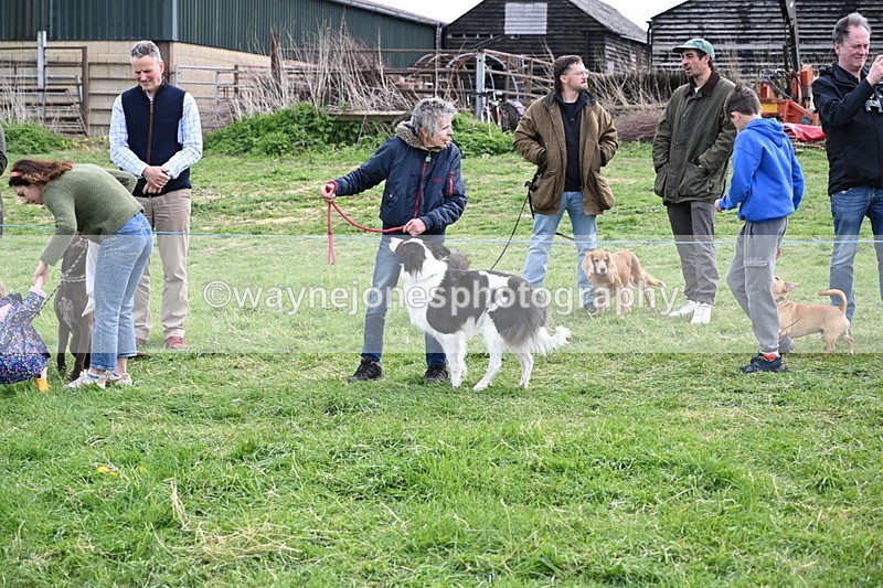 WJ6_8531 - Class 6 Best Rescue