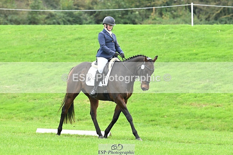 241024-144749-04609 - 420-Pip.Howarth-OTTAVA