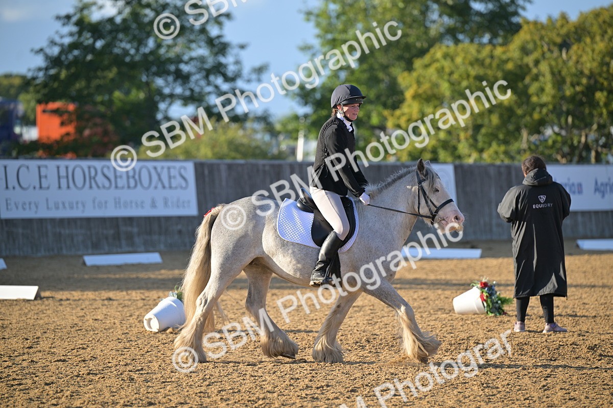 SBM_13152 - D3 - Small Tour Championship Intro 3