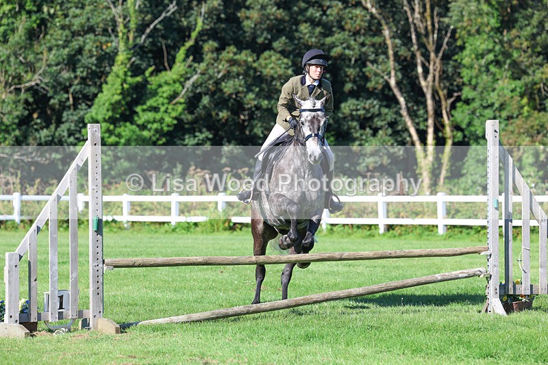 3E7A7755 - Class 2: Open Working Hunter pony