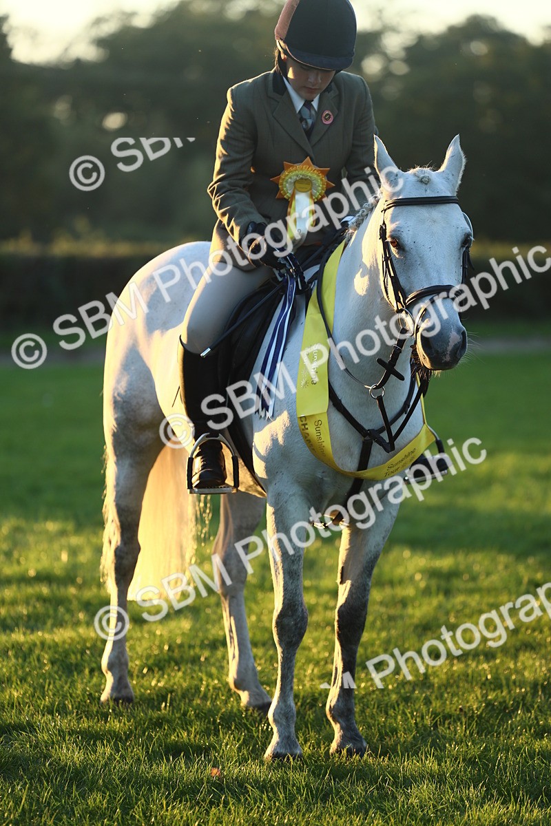 SBM_56686 - Fun & Versatile Supreme Championship