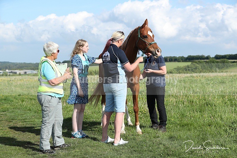 SPXX0028 - Friday vetting