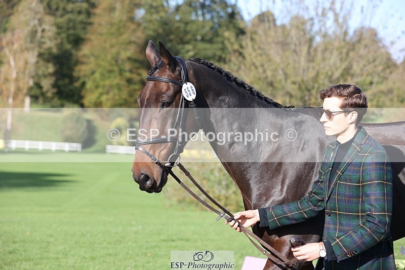 241027-101213-15745 - 556-Marshall.David.Johnson-SILVER.BAY