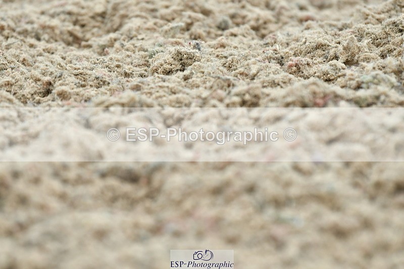 230630A-110445-01271 - Cls 5 Novice 37A