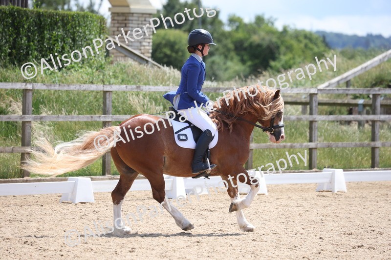 20250614-0759 - Class 4 - Novice 2