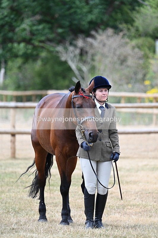 WJ7_1855 - Class 4a Prettiest Mare 14.2hh and over hand