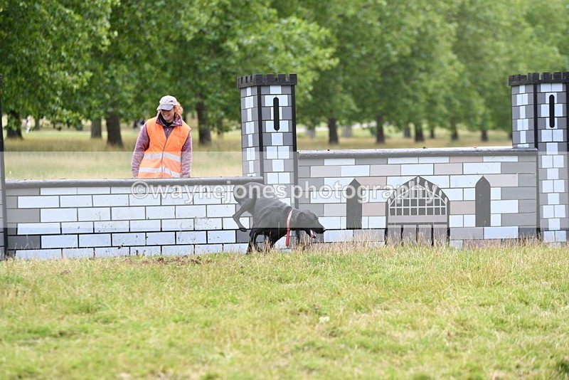 WJ5_3076 - Time at Jump 14:47 to 15:17