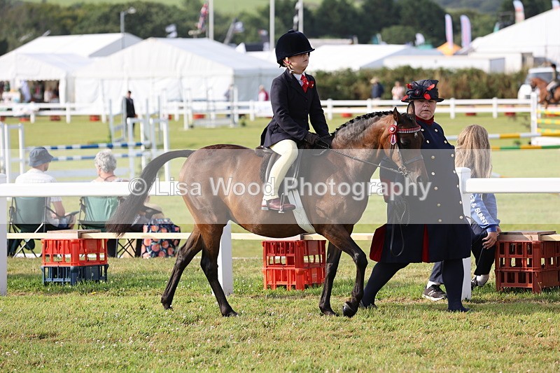 JPP_0161 - Class 14: Cornish Combination Leading Rein