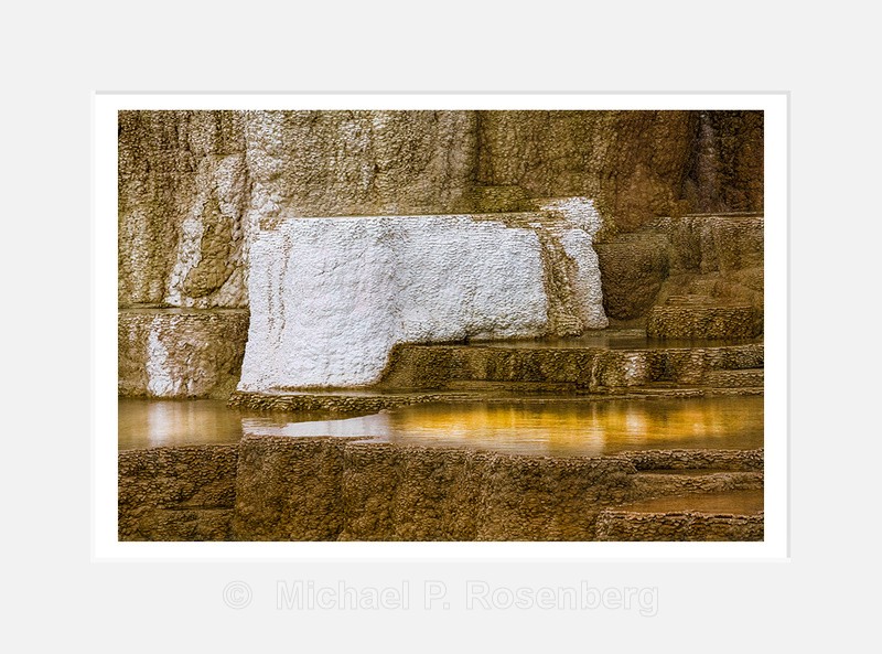 Abstract 243 - Natural Abstracts