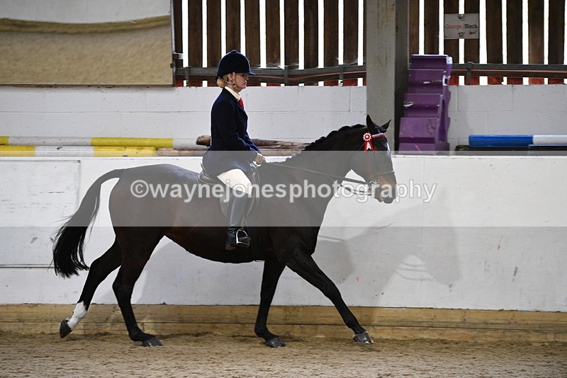 WJ5_7864 - Class 13 Ridden Part Breed