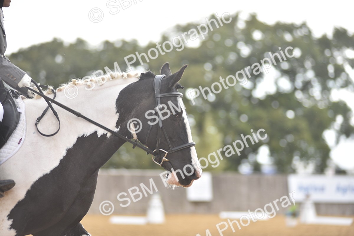 SBM_38734 - D14 - Grand Tour Championship Prelim 2