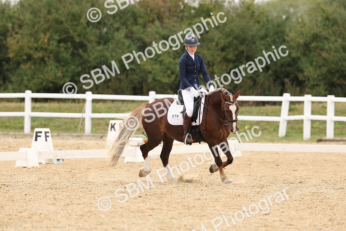 SBM_01050 - Class 8 - Novice 27 Champs