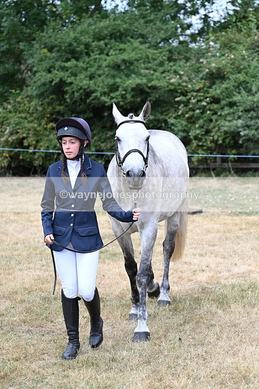 WJ7_1863 - Class 4a Prettiest Mare 14.2hh and over hand