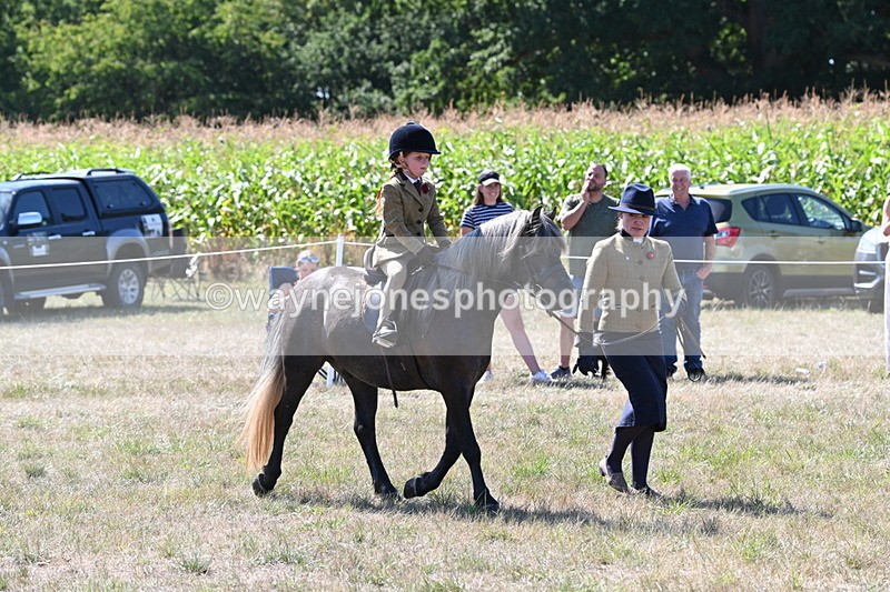 WJ6_7962 - Class 36 Lead Rein