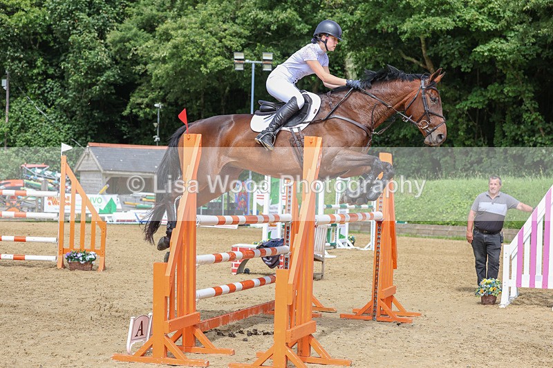 3E7A7518 - Class 9: Senior Foxhunter/1.20 open