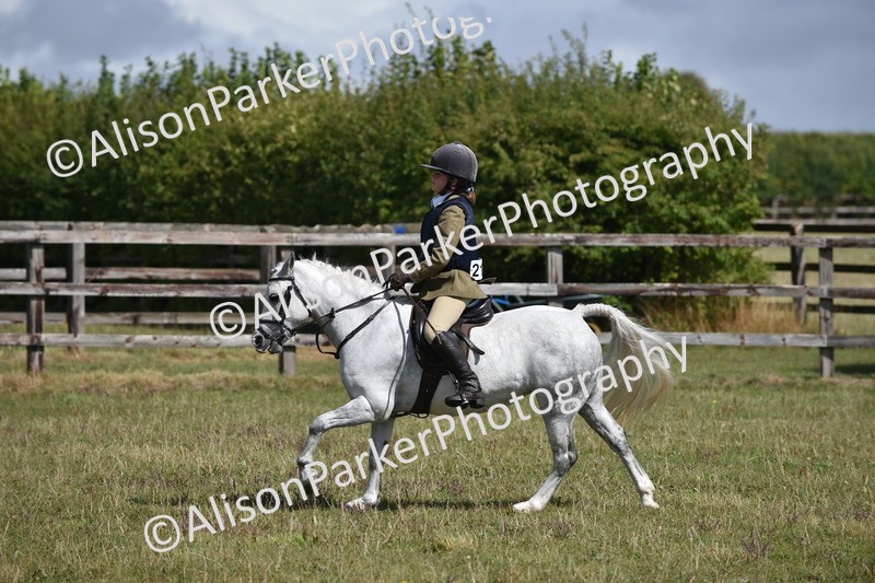20250831-3959 - Class 11 - Working Hunter Pony 13hh and Under