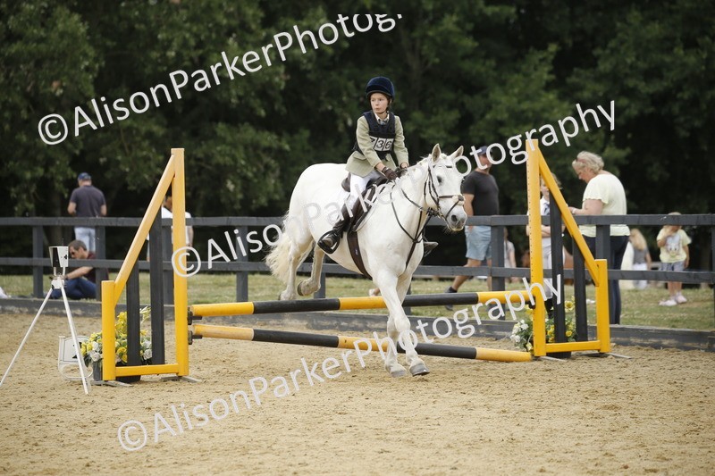 20250622-6186 - 60cm