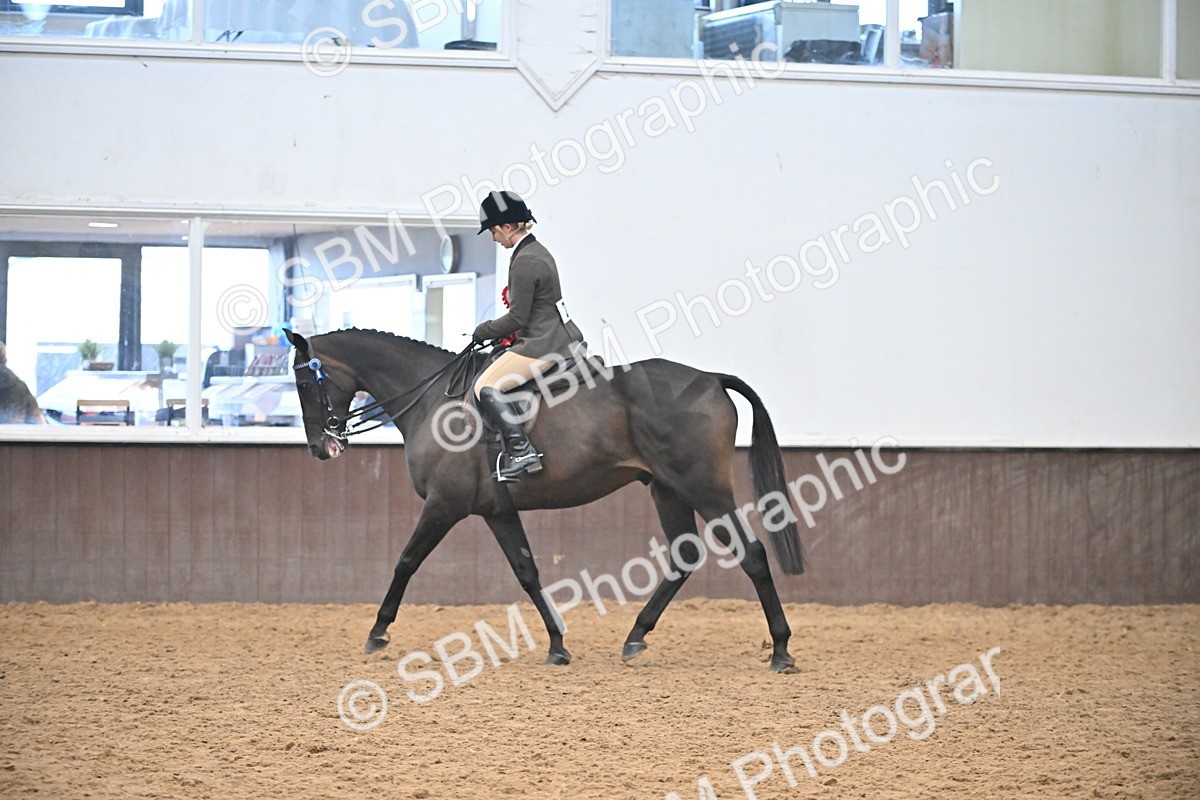 SBM_002706 - Ridden Showing Supreme Championships