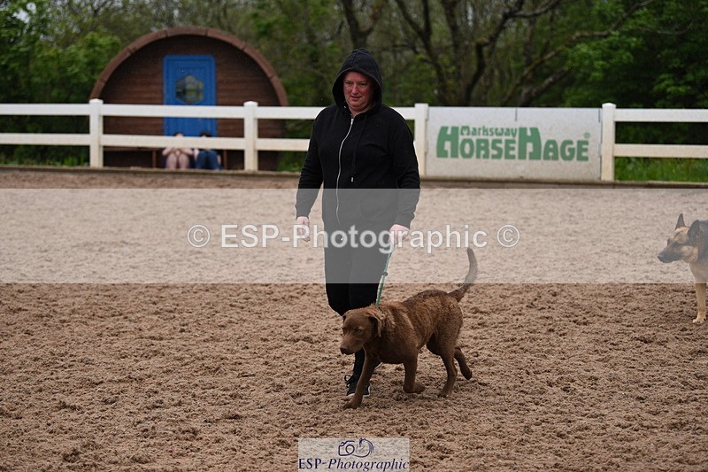 240518A-124644-01187 - Cls 5 Best Purebred