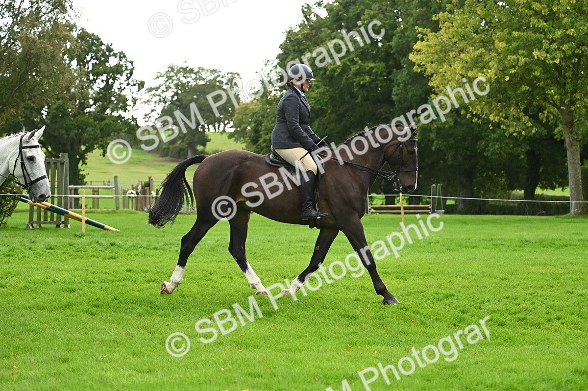 SBM_26343 - S6 - Novice & newcomer Ridden horse