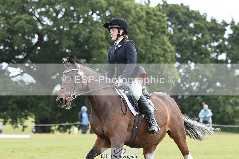 240824X-110525-26839 - D70 Section C and D 9.30 to 11.00