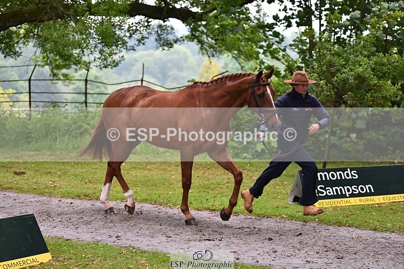 240522-164136-01087 - 216-I'M_A_WONDER-Rosie_Bradley-Hole