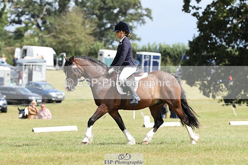 240824X-132018-27291 - D80 Section G and H 12.00 to 13.30