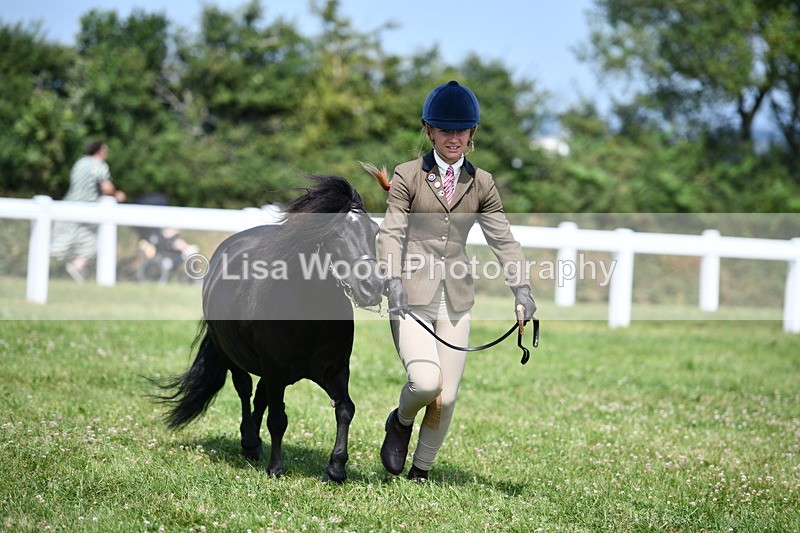 DSC_8173 - Class 67: Child Handler 11 - 16 years