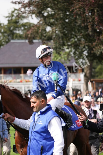 yr18082021r3-96 - Race 3 3.00pm Sky Bet Great Voltigeur Stakes